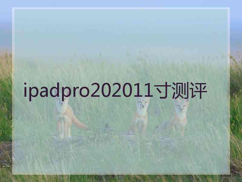 ipadpro202011寸测评