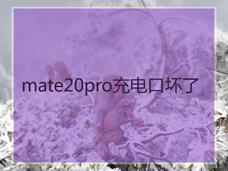 mate20pro充电口坏了