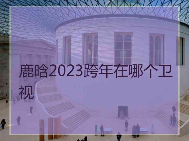 鹿晗2023跨年在哪个卫视