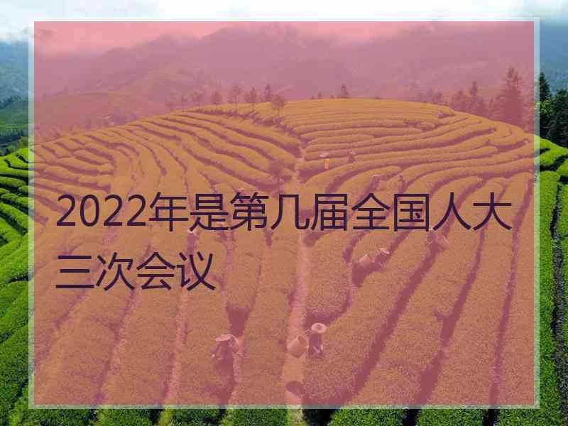 2022年是第几届全国人大三次会议