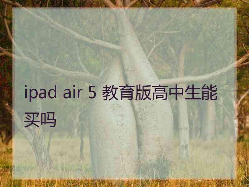 ipad air 5 教育版高中生能买吗