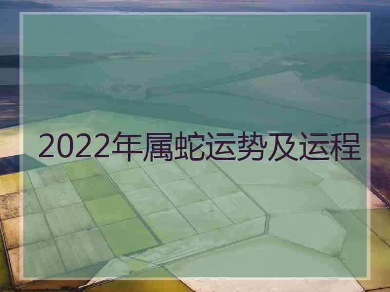 2022年属蛇运势及运程