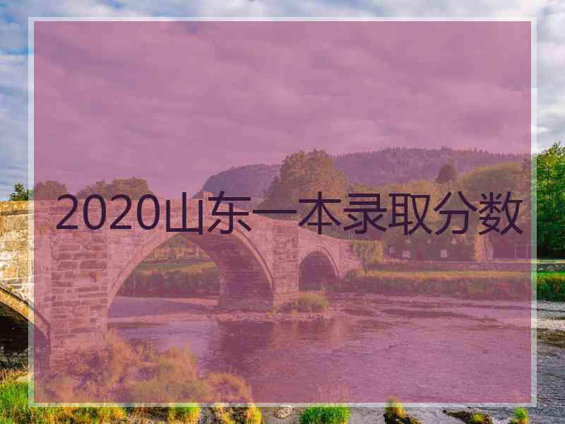 2020山东一本录取分数