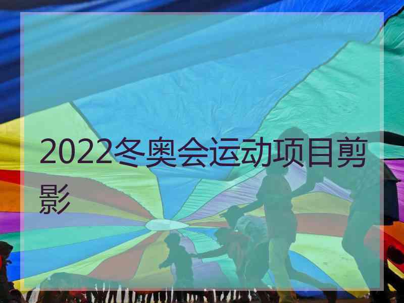 2022冬奥会运动项目剪影