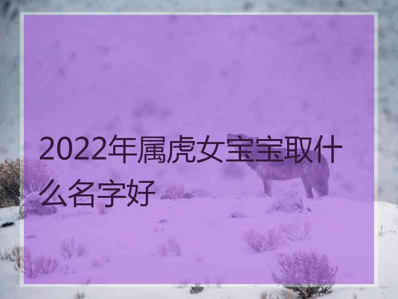 2022年属虎女宝宝取什么名字好