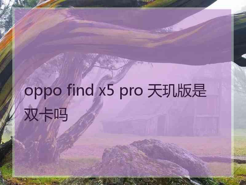 oppo find x5 pro 天玑版是双卡吗