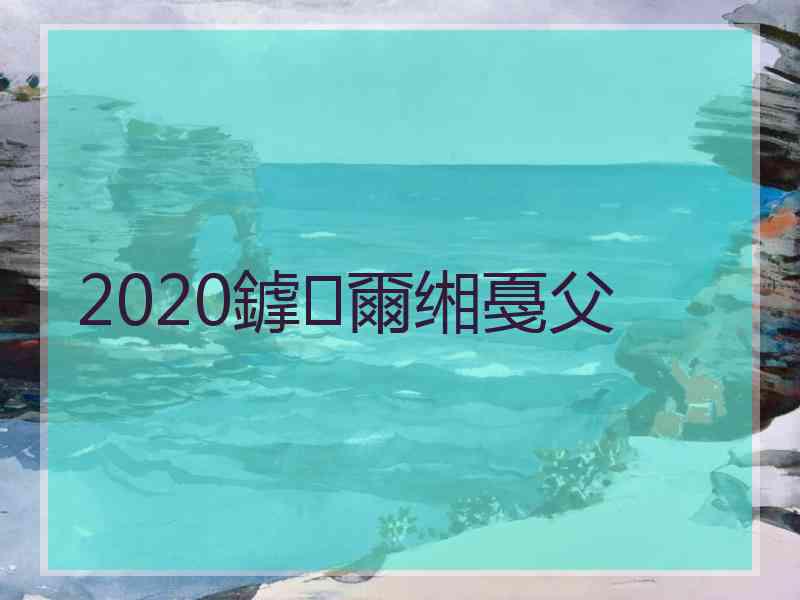 2020鎼爾缃戞父