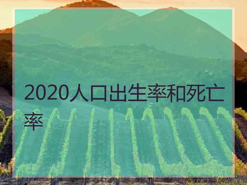 2020人口出生率和死亡率