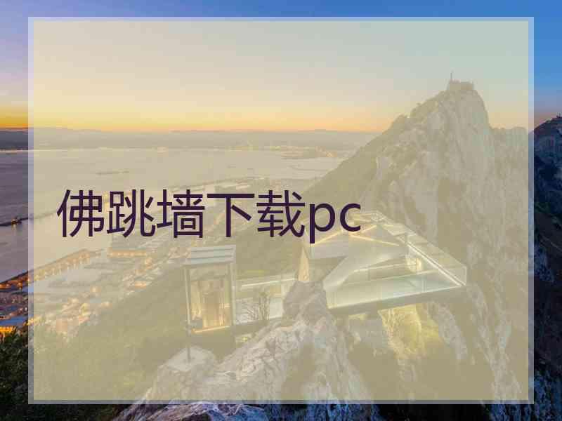 佛跳墙下载pc