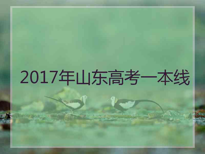 2017年山东高考一本线