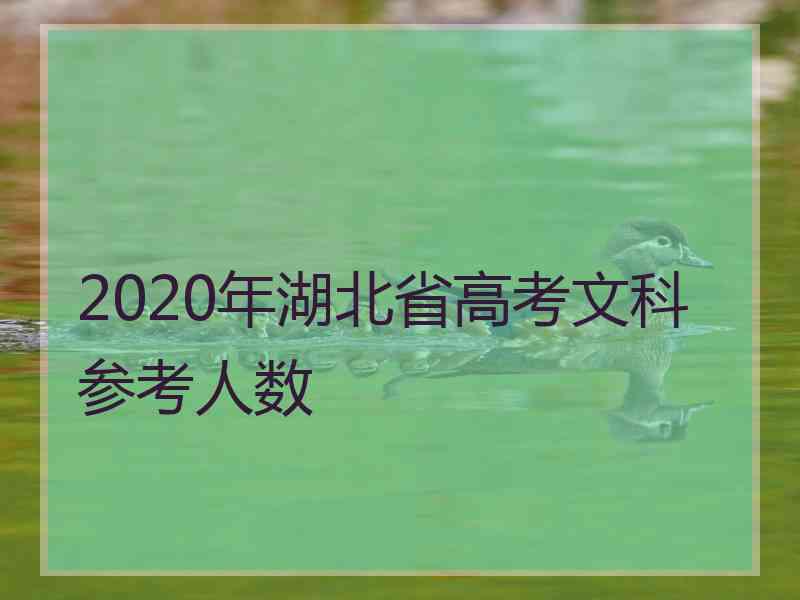 2020年湖北省高考文科参考人数