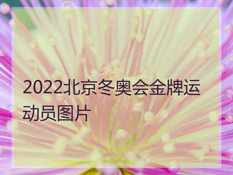 2022北京冬奥会金牌运动员图片