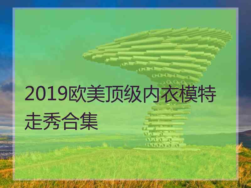 2019欧美顶级内衣模特走秀合集