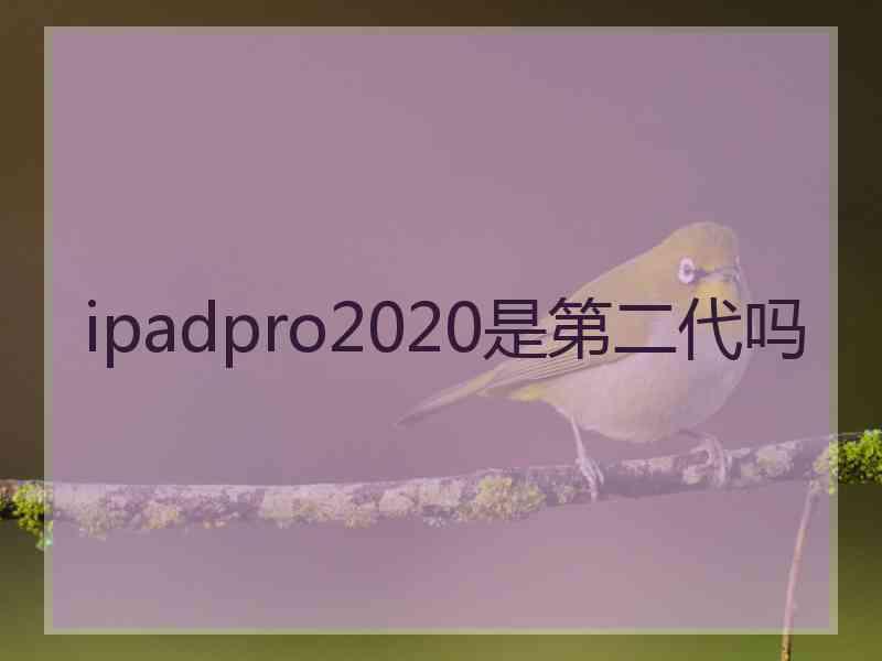 ipadpro2020是第二代吗