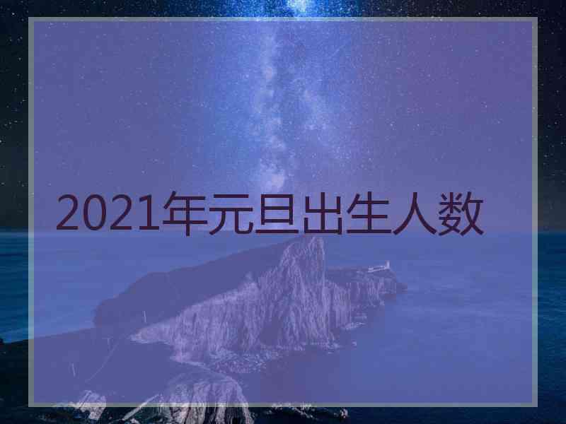 2021年元旦出生人数