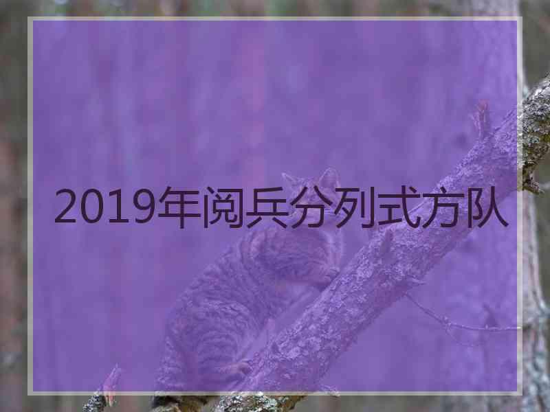 2019年阅兵分列式方队