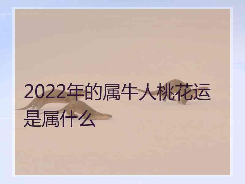 2022年的属牛人桃花运是属什么