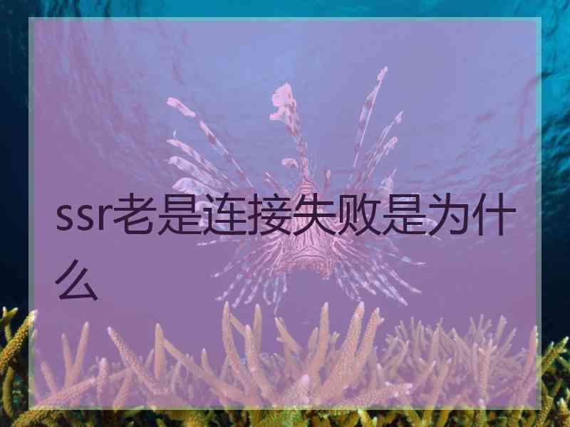 ssr老是连接失败是为什么