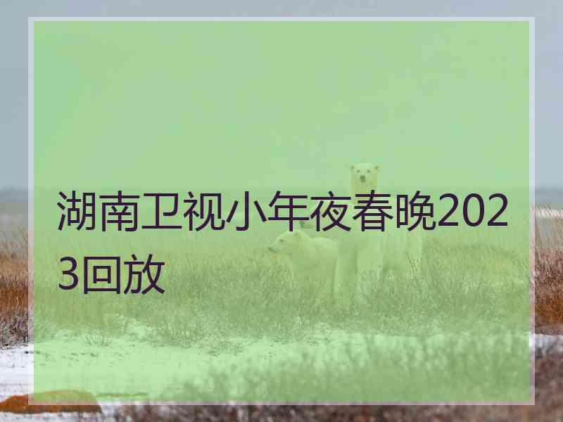 湖南卫视小年夜春晚2023回放