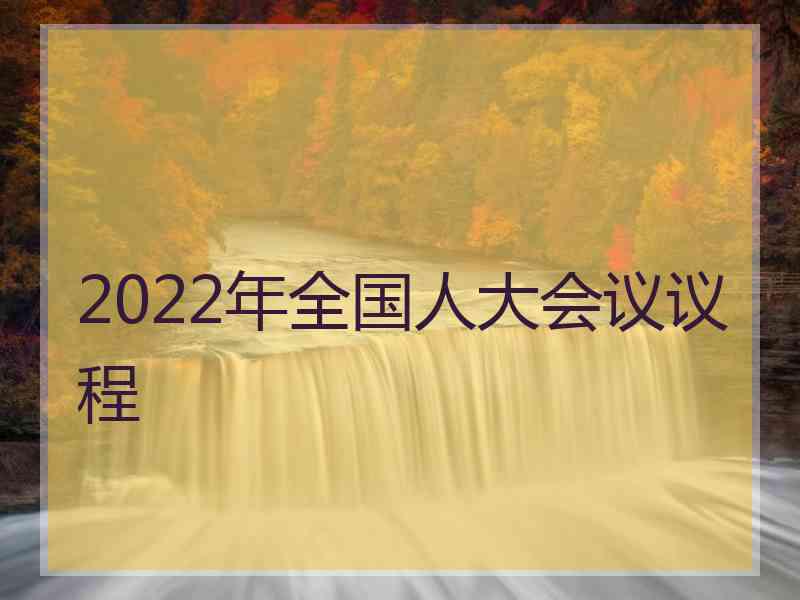 2022年全国人大会议议程