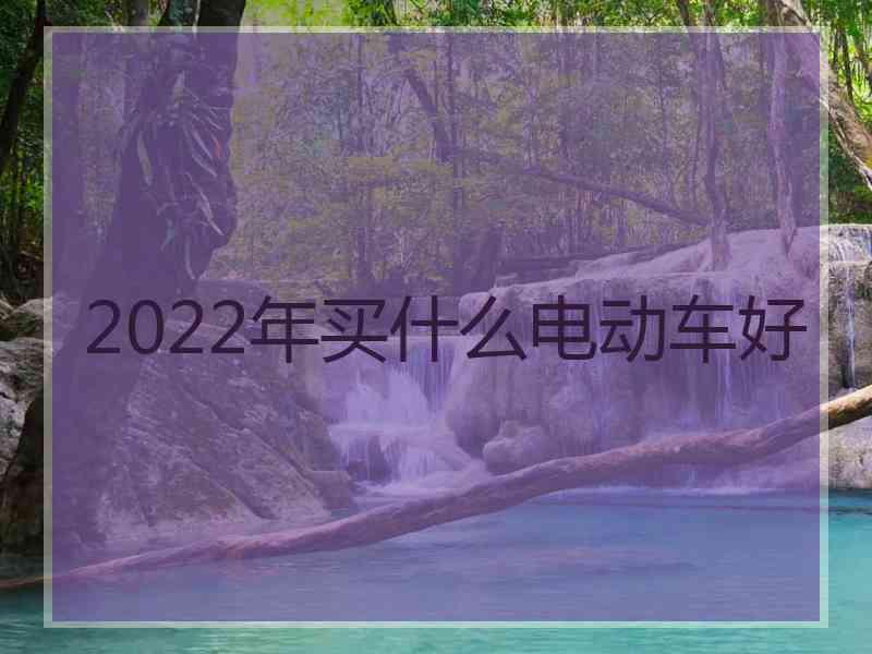 2022年买什么电动车好