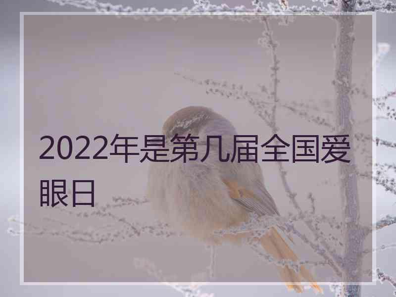 2022年是第几届全国爱眼日