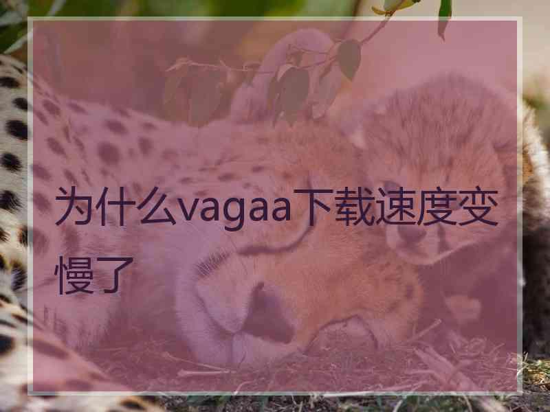 为什么vagaa下载速度变慢了