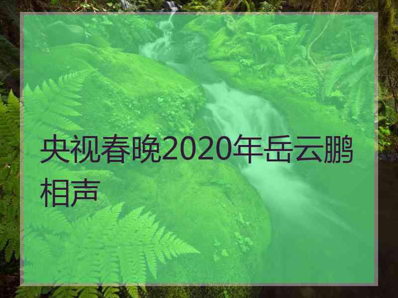 央视春晚2020年岳云鹏相声