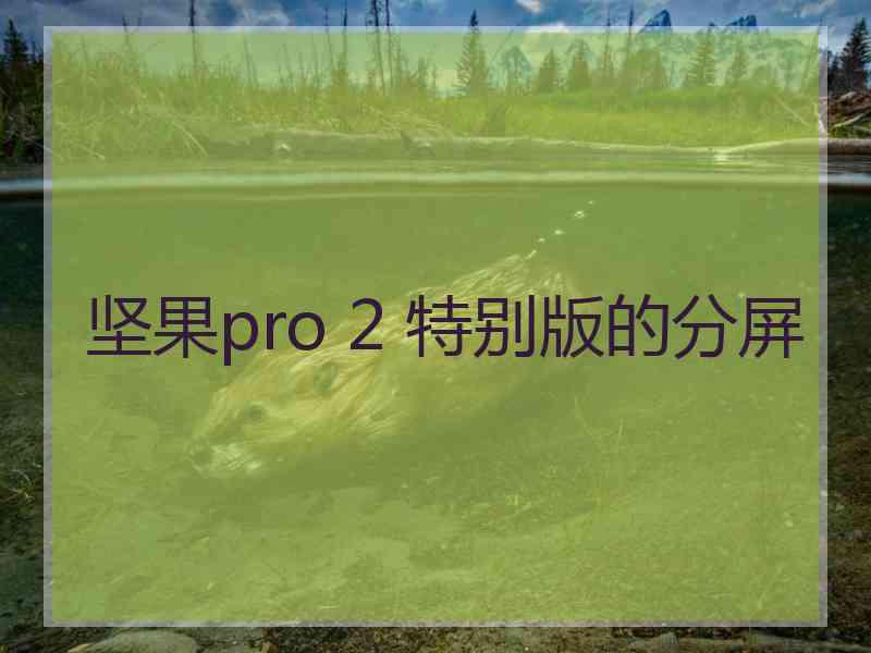 坚果pro 2 特别版的分屏