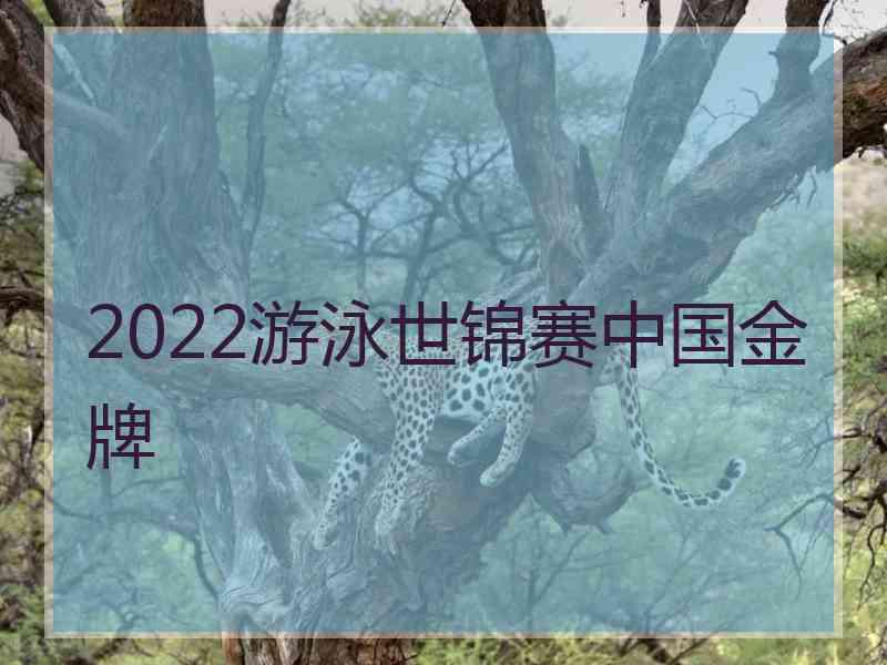 2022游泳世锦赛中国金牌