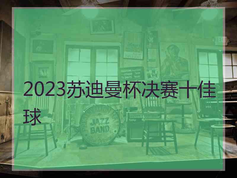 2023苏迪曼杯决赛十佳球