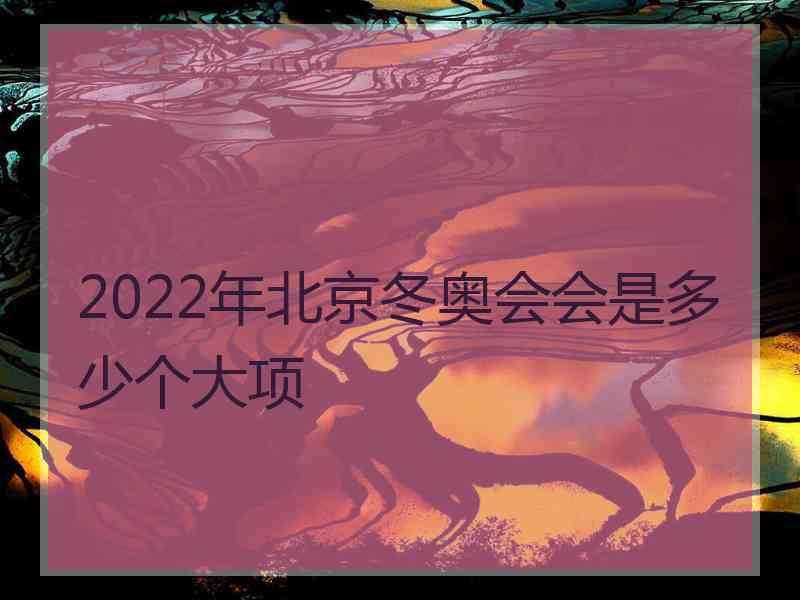 2022年北京冬奥会会是多少个大项