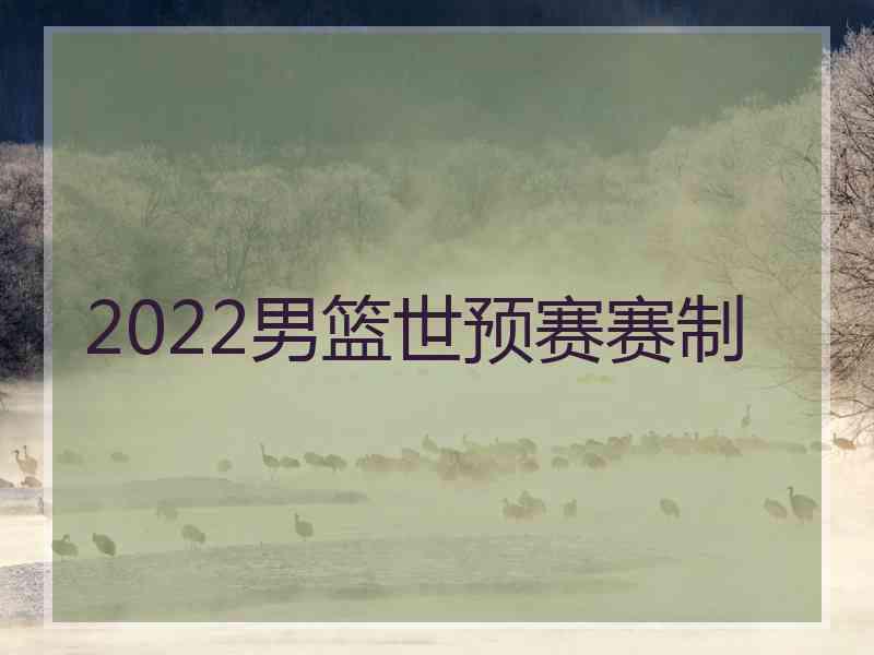 2022男篮世预赛赛制