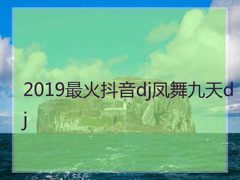 2019最火抖音dj凤舞九天dj