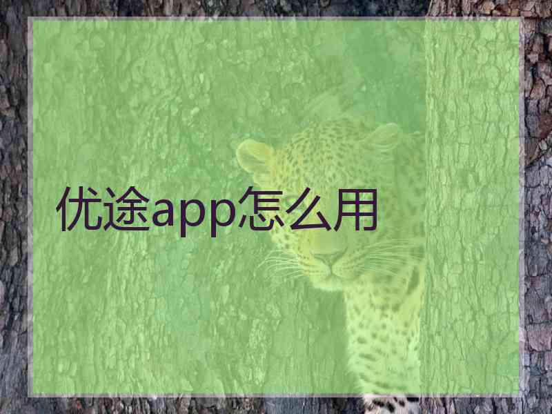 优途app怎么用