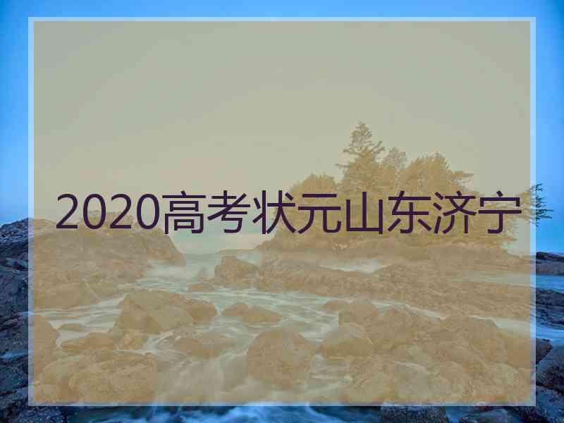 2020高考状元山东济宁