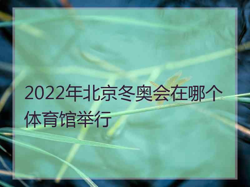 2022年北京冬奥会在哪个体育馆举行