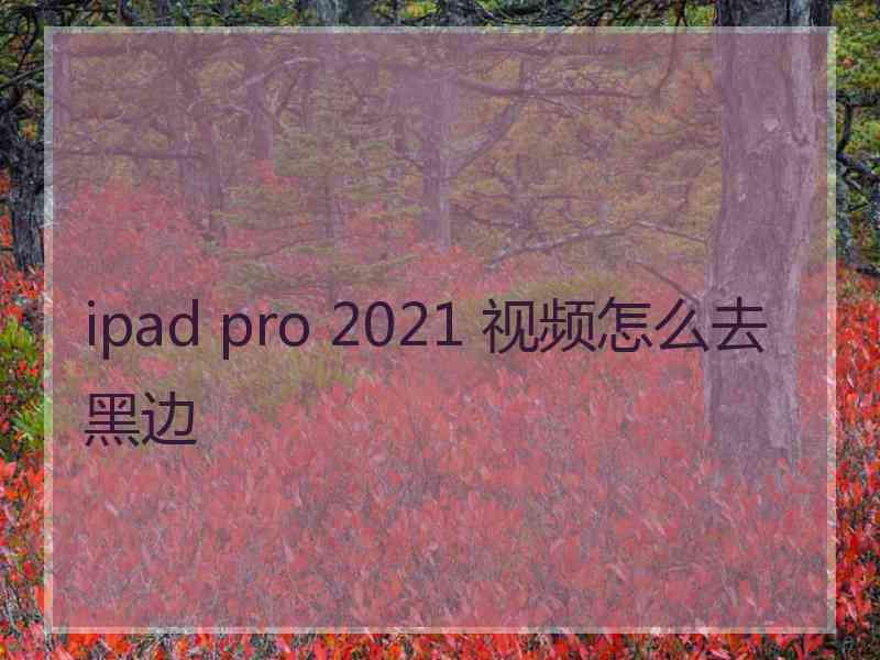 ipad pro 2021 视频怎么去黑边