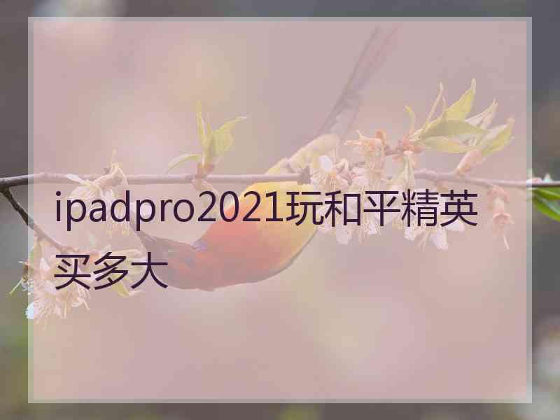 ipadpro2021玩和平精英买多大