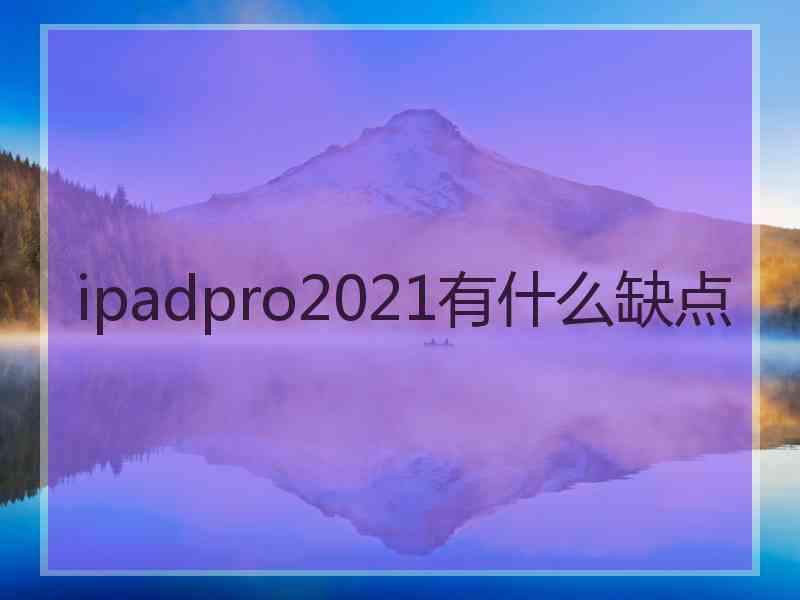 ipadpro2021有什么缺点