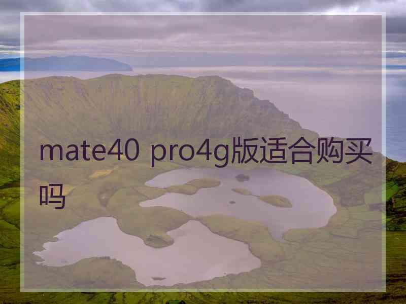 mate40 pro4g版适合购买吗