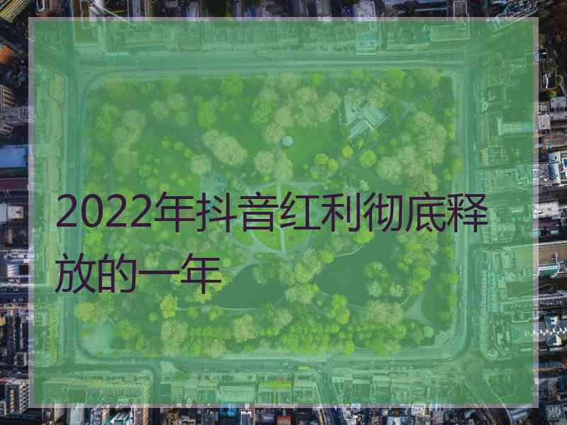 2022年抖音红利彻底释放的一年