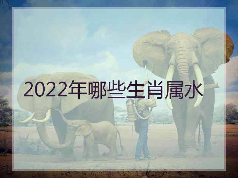 2022年哪些生肖属水