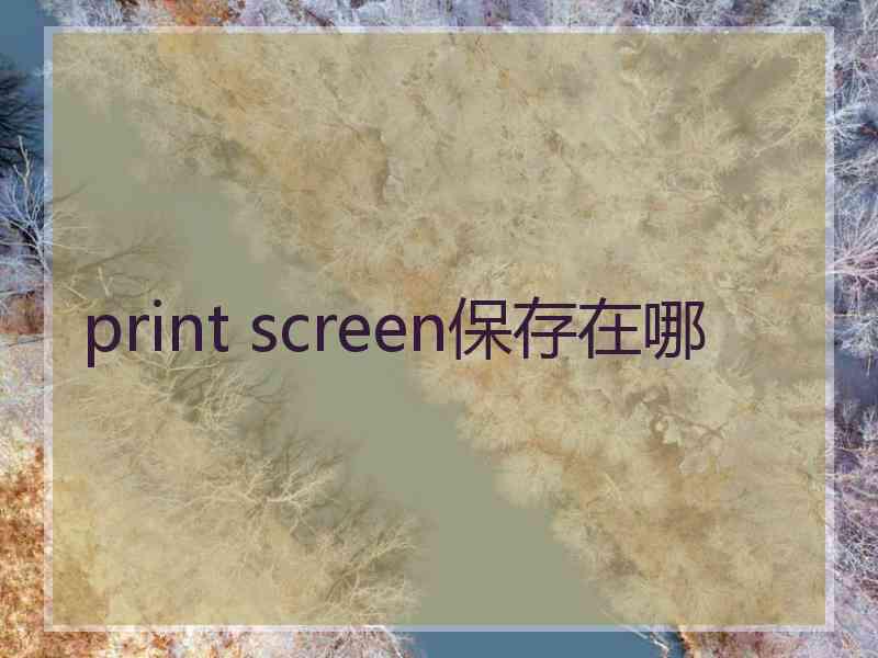 print screen保存在哪