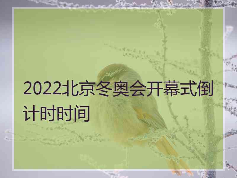 2022北京冬奥会开幕式倒计时时间