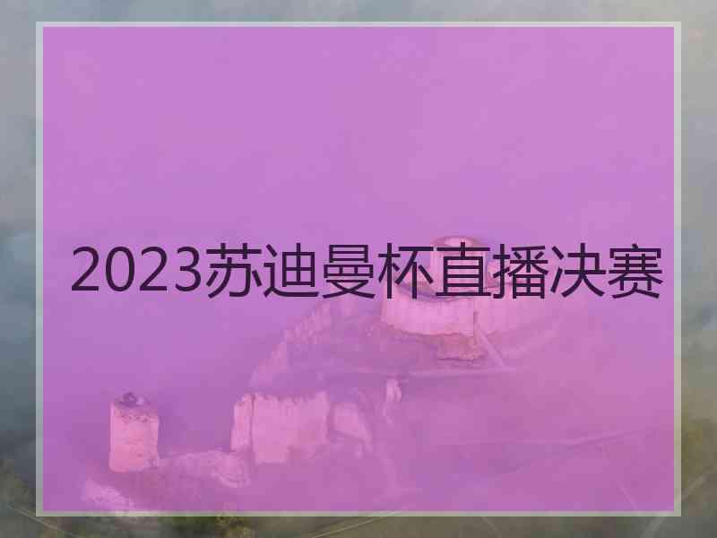 2023苏迪曼杯直播决赛