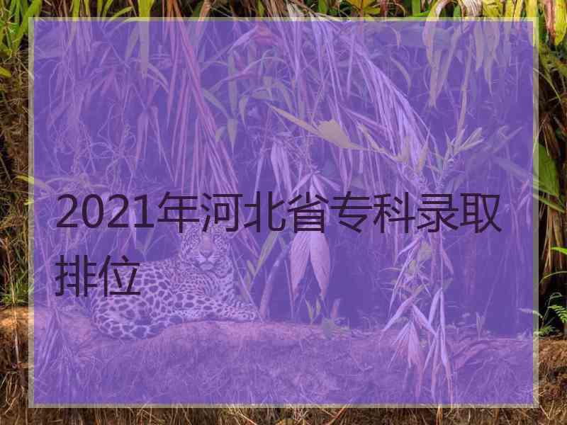 2021年河北省专科录取排位