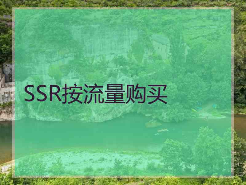 SSR按流量购买