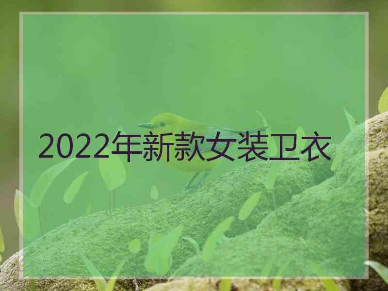 2022年新款女装卫衣