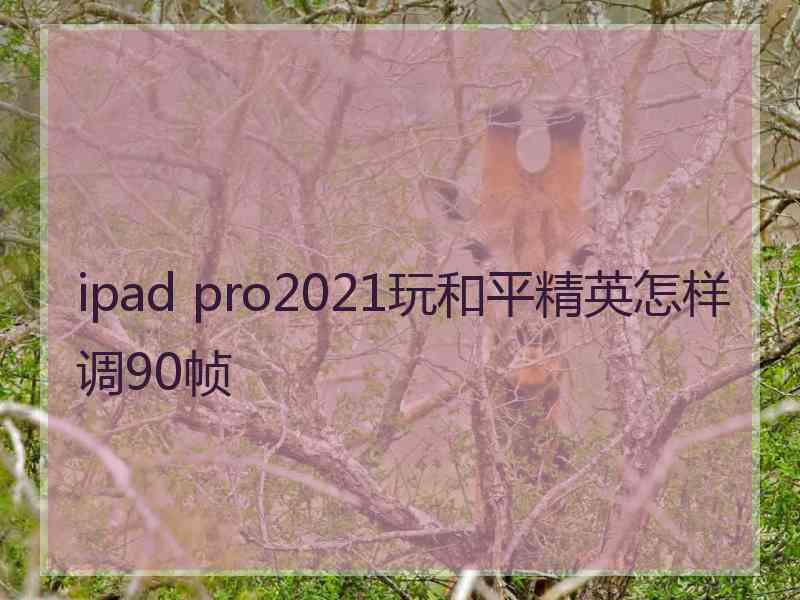 ipad pro2021玩和平精英怎样调90帧